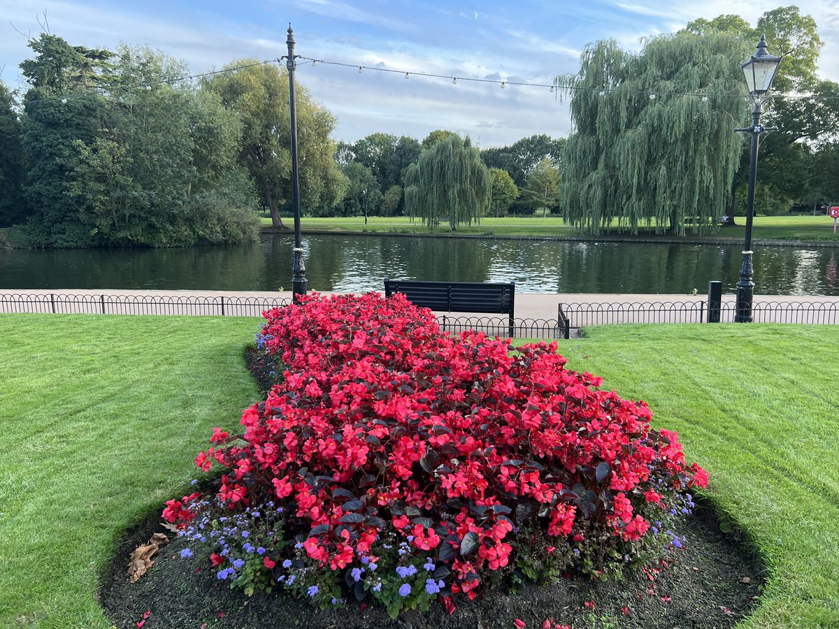There are many reasons to love 💕 Bedford. This is one of them 😍🌺☘️

@BedfordTweets @BedsLive @LoveBedford @BedfordTC @PeachPubs @letstalkcentral 

#StormHour #ThePhotoHour #Bedford #Flowers #thursdayvibes