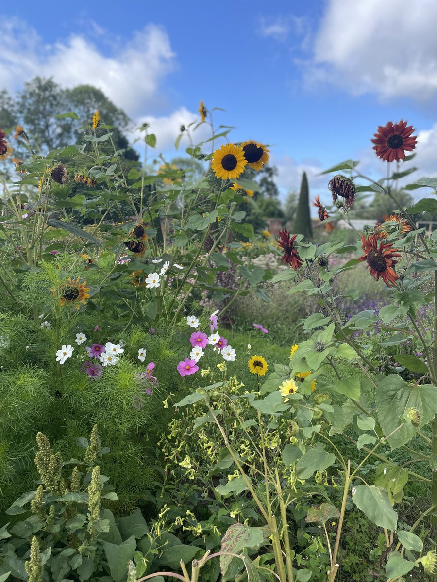 Is there anything more impressive than the colours that Mother Nature creates? There's magic in the fact that all the pinks, greens, whites, and yellows in the picture grew from the ground with nothing but water and a little love. What's your favourite colour to see in a garden?