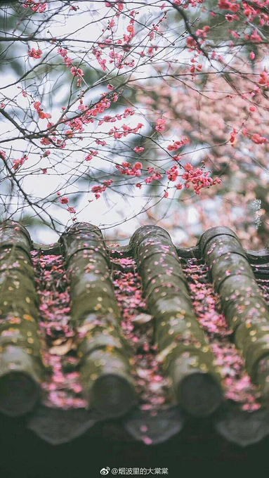 Just so peaceful...  Wrong time of year, but one of my favourite things after winter is to see all the cherry blossoms appearing in the hills. 