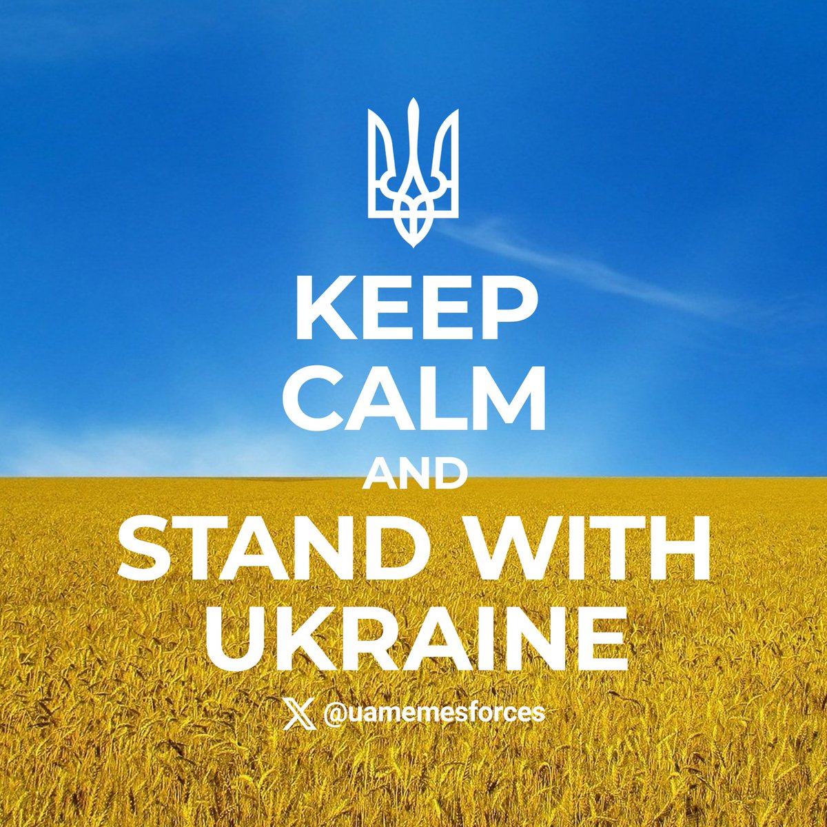 uamemesforces's tweet photo. Happy Ukraine’s Independence Day! https://t.co/K5xunffBgQ