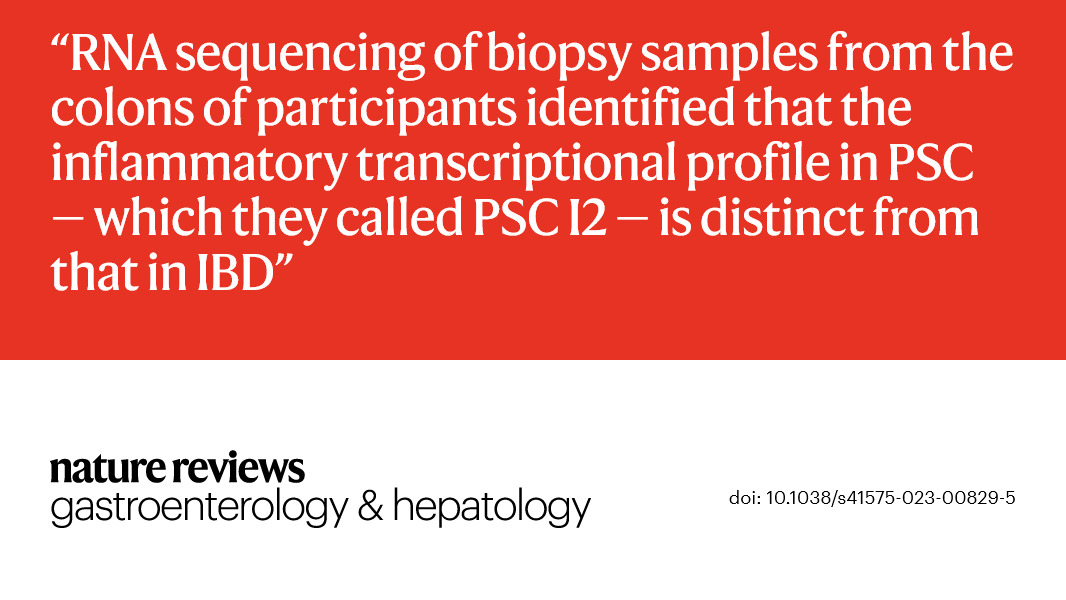 NatRevGastroHep's tweet image. SEPTEMBER ISSUE | #ResearchHighlight

PRIMARY SCLEROSING #CHOLANGITIS | Inflammation to cancer in PSC 

rdcu.be/dkhkB