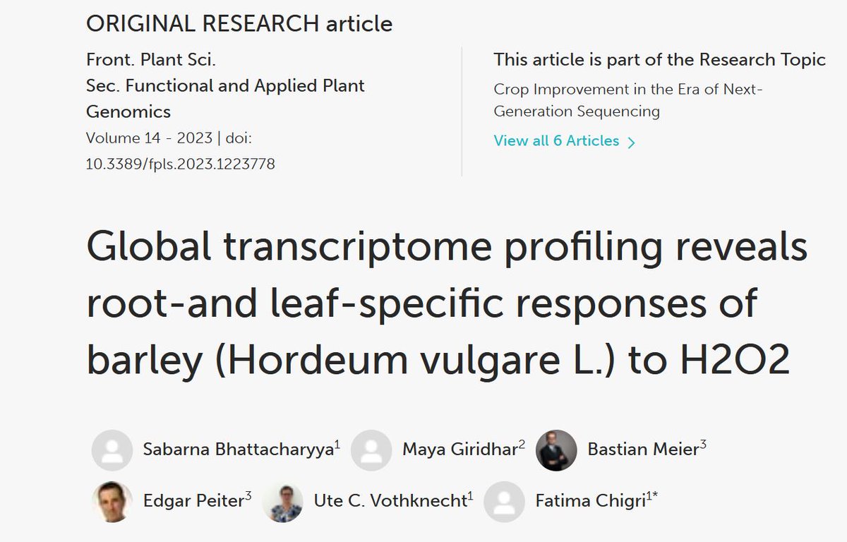 Congratulations to Sabarna, Maya and Fatima. Their collaborative work with the Peiter group from the University of Halle on H2O2 mediated transcriptional changes in barley is now published.