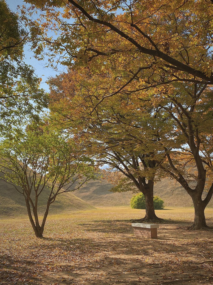 forourloving_'s tweet image. 관람료 무료.. 그리고 내 생각 경주의 최대장점은 다 모여있다는 것.. 근처에 첨성대, 동궁과 월지, 대릉원, 월정교, 황리단길 다 있으니 경주 가시면 다 둘러보세요..