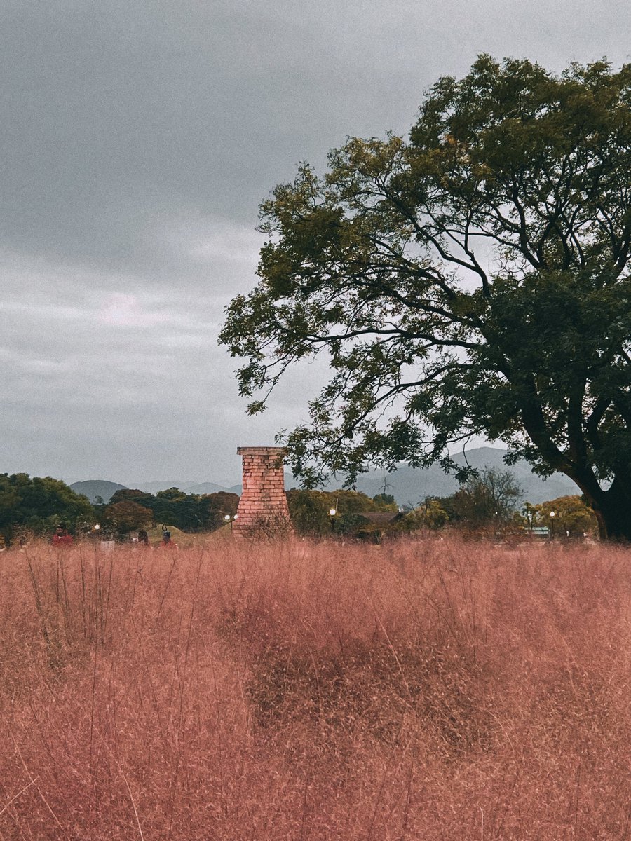 forourloving_'s tweet image. 관람료 무료.. 그리고 내 생각 경주의 최대장점은 다 모여있다는 것.. 근처에 첨성대, 동궁과 월지, 대릉원, 월정교, 황리단길 다 있으니 경주 가시면 다 둘러보세요..