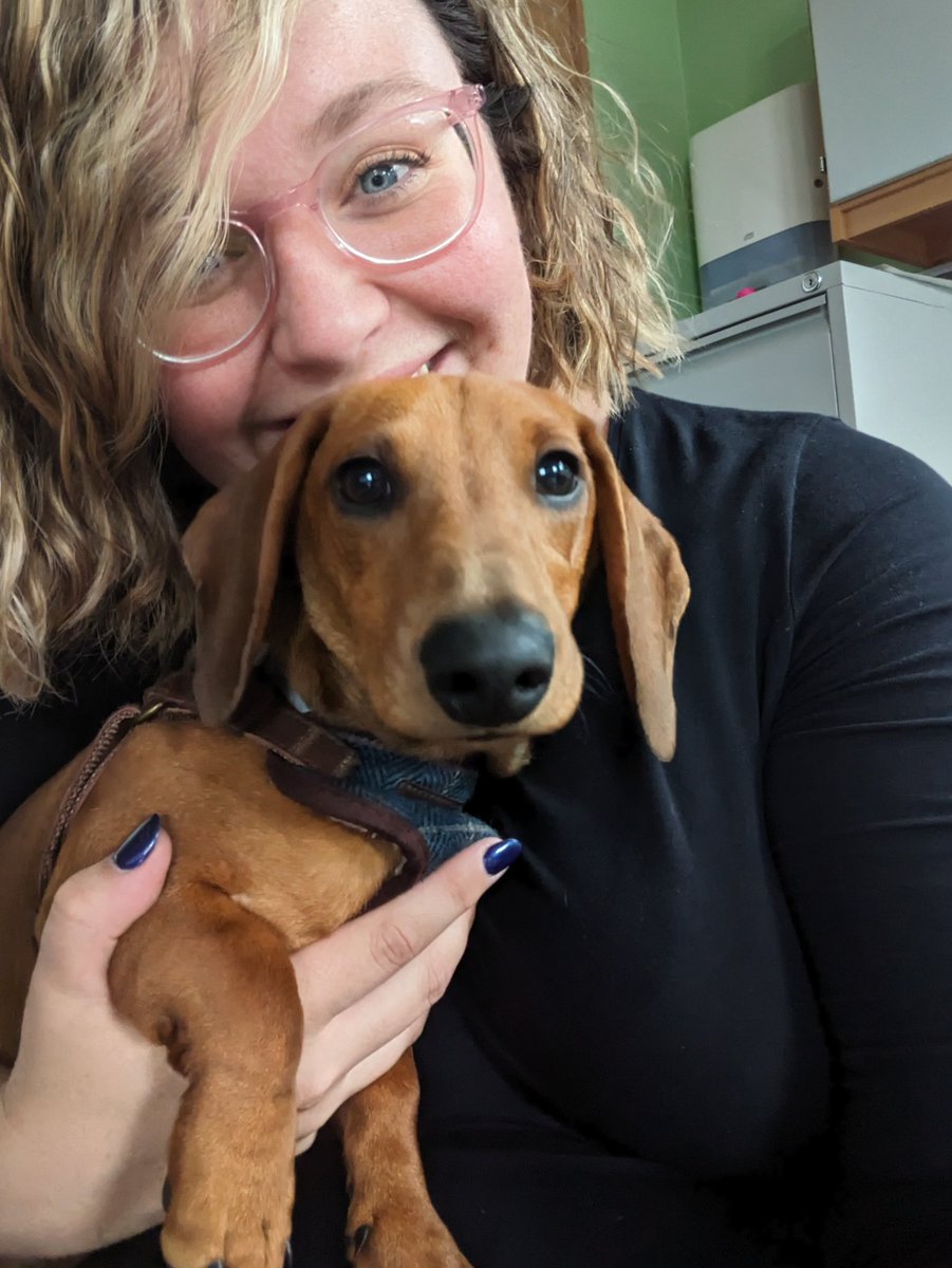 Hi Freddie! 🙋‍♀️ Newest member of the Denny Pupil Support Team 💕🌭🐕🐾 #Wellbeing