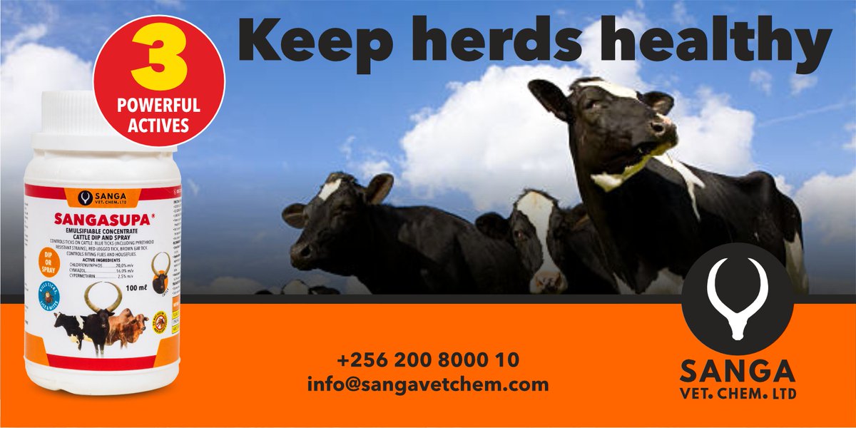 Ticks are responsible for USD 1.1 billion in annual losses in Uganda. Spray your cattle once a week to keep your herds healthy

#SANGA #TickBorneDiseases #SANGASUPA
