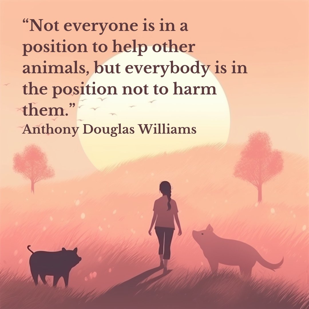 Rt plz. Not everyone can be an ally for animals, however, everyone can be a perpetrator when it comes to harming them
#NoMore50
 #StopAnimalCruelty #TreatAnimalsWithRespect