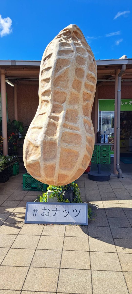 zrozro9's tweet photo. おナッツ‼️‼️‼️ https://t.co/NAlpOvfcp6