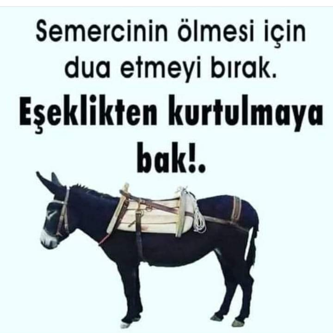 nila76819's tweet photo. 🇹🇷🇹🇷🇹🇷🇹🇷 https://t.co/AyCPRMGTIX