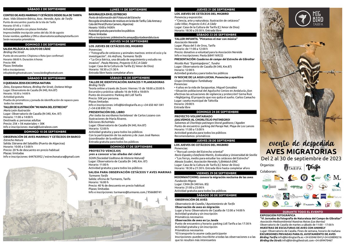 PRESENTACIÓN DEL LIBRO: "¡Por todos los escribanos hortelanos!" de Carlos Lozano con ilustraciones de María Álvarez @LibrosBichoMalo en Evento de Despedida de las Aves Migratorias. 
Sábado 16 de septiembre a las 12:00 en Observatorio de Cazalla (N-340, Km.87), Tarifa #Cadiz