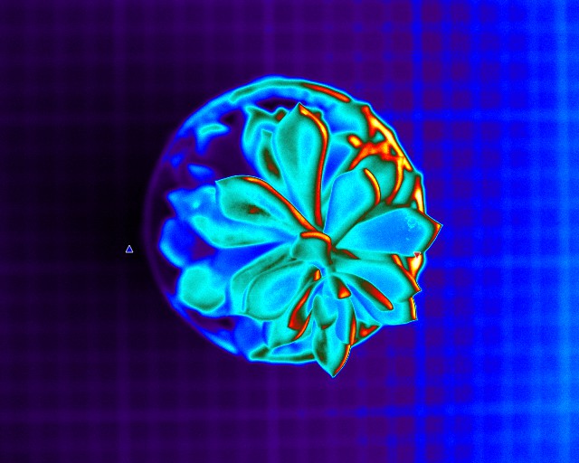 TheThermalGuys - Powered by TVI & FLIR tweet media