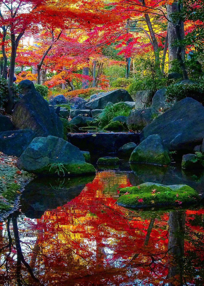 nerissaemy_520's tweet photo. Daejeon Black Park🍁🍂💦💛  South Korea https://t.co/QLk6CgJmM3