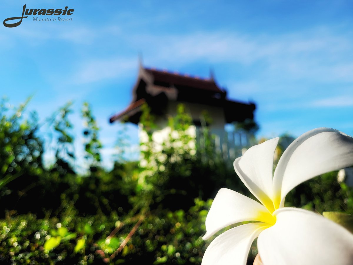 FishJurassic's tweet photo. Unless you enjoy long scenic walks around the lake, don't forget that there's a toilet and shower behind Swim 7.
https://t.co/lhDzXTxgPA
enquiries@jurassicfishingthailand.com
#JurassicMountainFishingPark #Flower #ChampaFlower #Fishing #Angling #CarpAngling #PredatorAngling https://t.co/g8JgSGJ3Sm