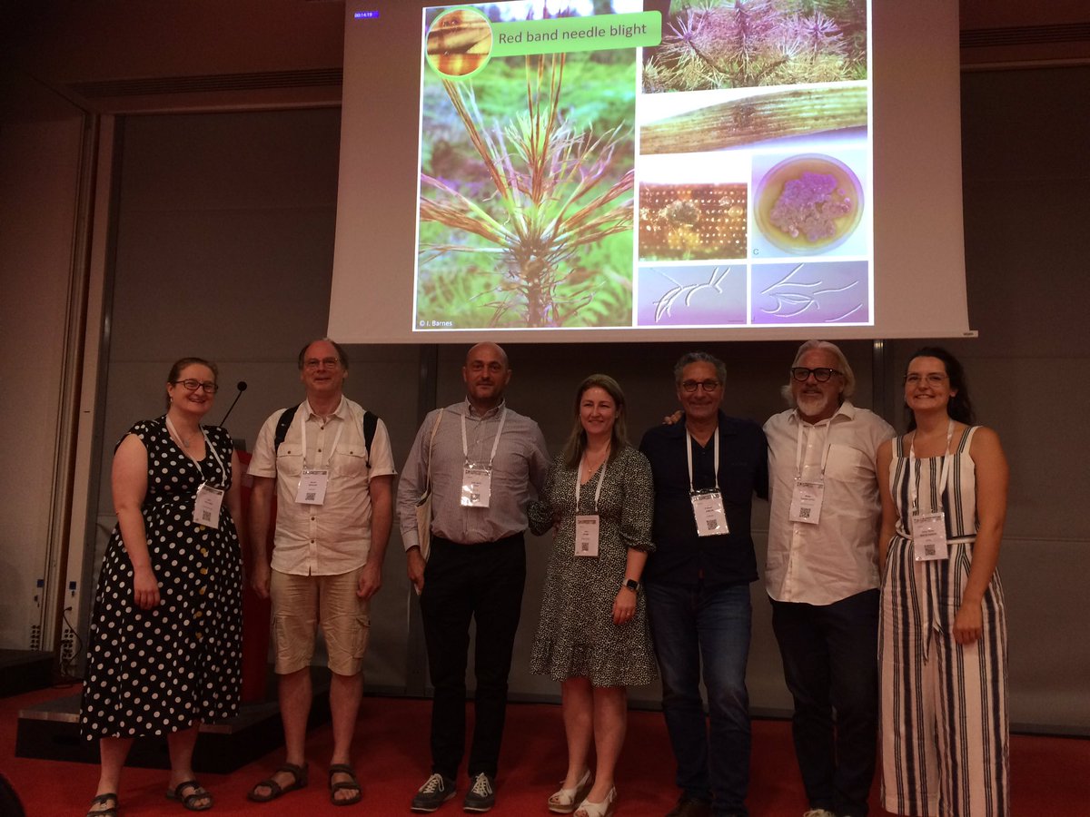 #ICPP2023 Fascinating session on current and emerging #ForestPathology issues, sponsored by <a href="/IUFROdivision7/">IUFRO Division 7 Forest Health</a>
