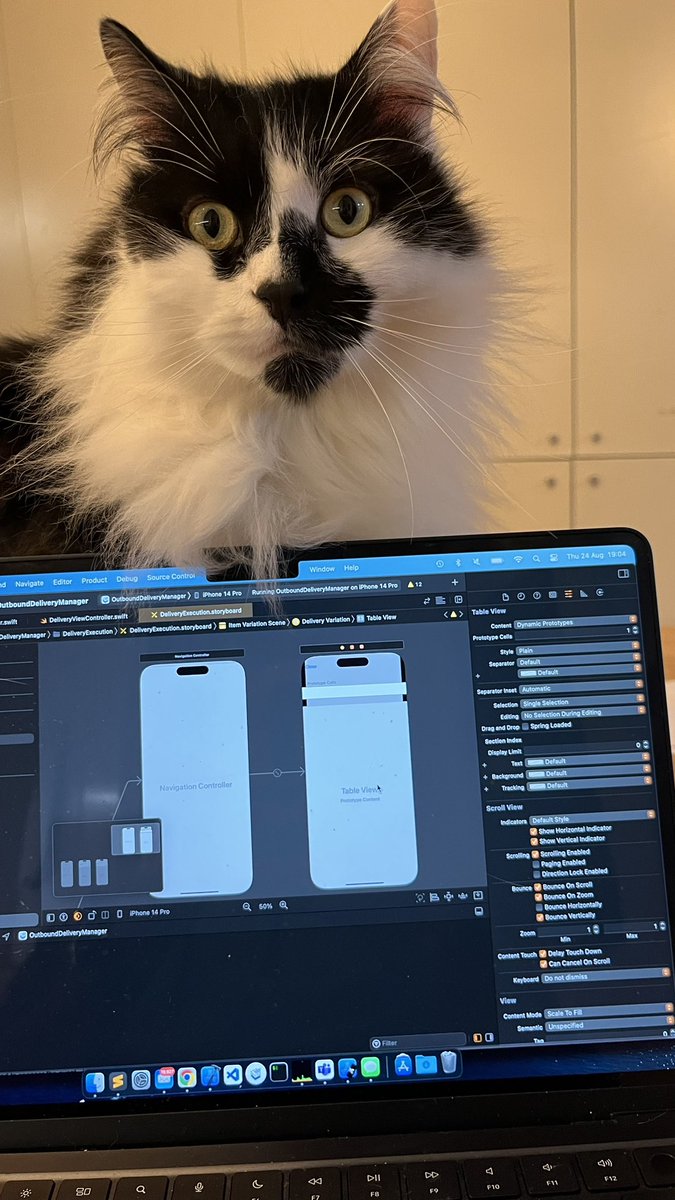 Surprise code review