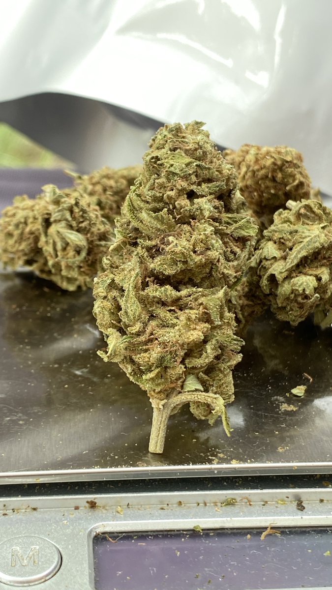 weed420cafe's tweet photo. Sugar cane Thc 15% 

60/1g เชียงใหม่นัดรับชนมือแถว 12 ห้วยแก้ว 

Line ID: https://t.co/uXYsyDkF9a

#กัญชาเชียงใหม่ #นัดรับเชียงใหม่ #กัญชาราคาถูก #กัญชานอก #กัญชาชนมือ #ชนมือเชียงใหม่ #นัดเจอเชียงใหม่ #สันติธรรม #เชียงใหม่นัดเจอ https://t.co/g5PiaZjSf6