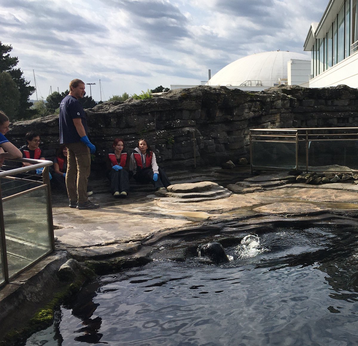 JulienBouzeloc's tweet photo. Dernière journée de l’université d’été Mer éducation de l’@IUEM_Brest  : ce matin, mise en commun des 2 parcours puis réflexion sur les transpositions pédagogiques possibles @Oceanopolis_  ! #MerEduc23 #EDD #CSTI @DAACBretagne https://t.co/2j4v3Q7Nlq
