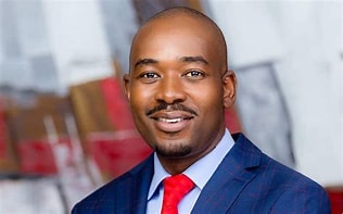 Addressing media and voters at polling stations is a violation of electoral rules. @nelsonchamisa's actions undermine the integrity of the process. #GodIsNotInIt @Eddie_Gore1 @JonesMusara @2023edpfee @ZimGvt_NDS1 @Varakashi4ED