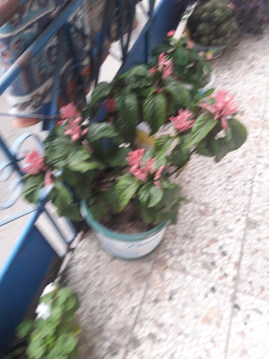 Suleyman5541's tweet photo. @gulsum509 https://t.co/Foy7F0T32k