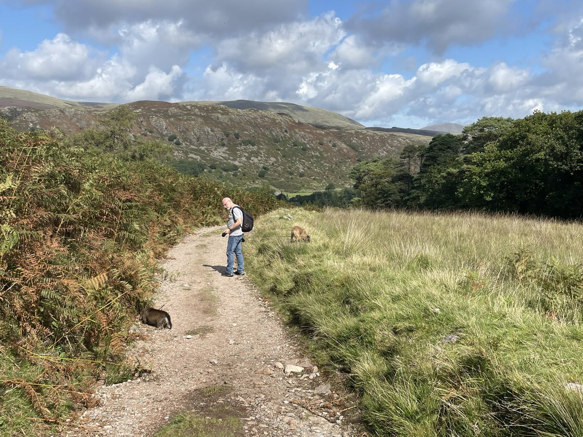 flintheborder's tweet photo. Lovely day exploring the Eskdale Valley . Camping in Boot https://t.co/mOu8jovSc0