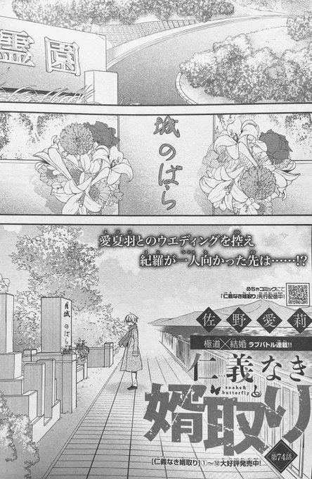 今発売中のSho-Comi18号に『仁義なき婿取り』🐍🦋74話が載ってます!
よろしくお願いします! 