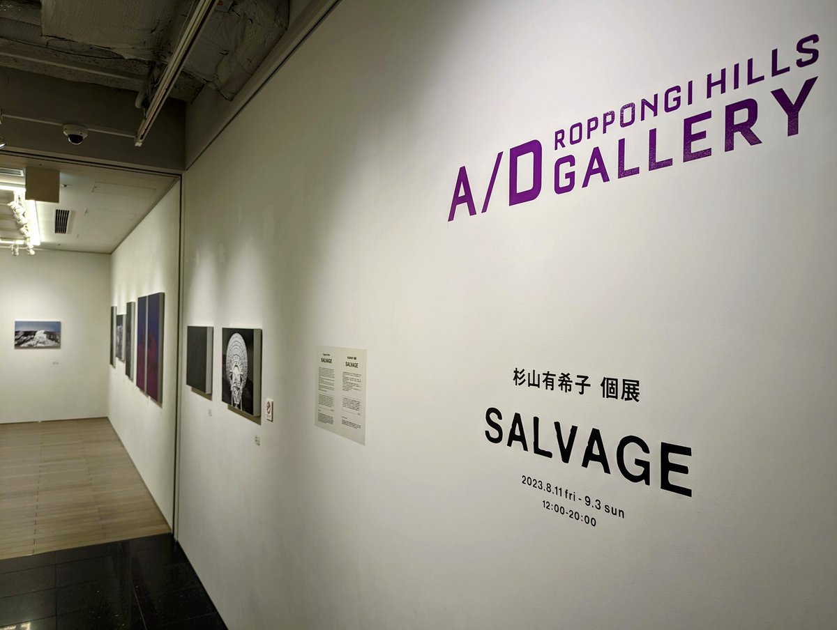 tateomif's tweet photo. 六本木ヒルズ A/D ギャラリーで杉山有希子さんの個展を見ました。
I went to Roppongi Hills A/D Gallery to see the solo exhibition of Yukiko SUGIYAMA.
#RopponngiHills #六本木ヒルズ #ADGallery #YukikoSUGIYAMA #杉山有希子 https://t.co/0xUBQ5Dq67