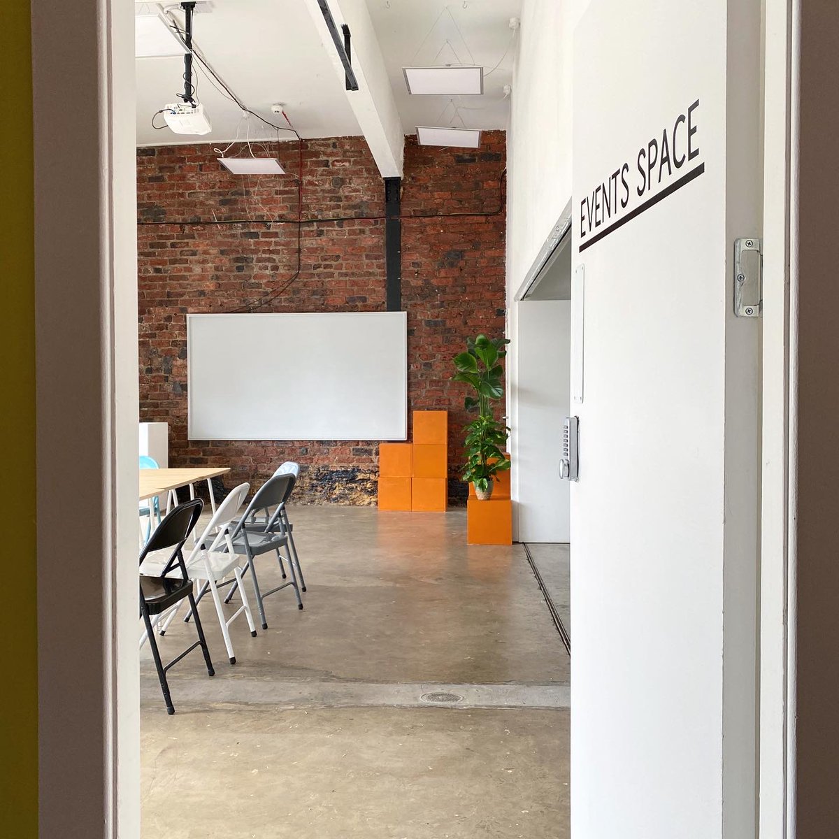 Many Studios tweet media