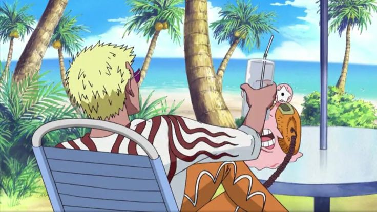 Doflamingo(Busy) tweet media