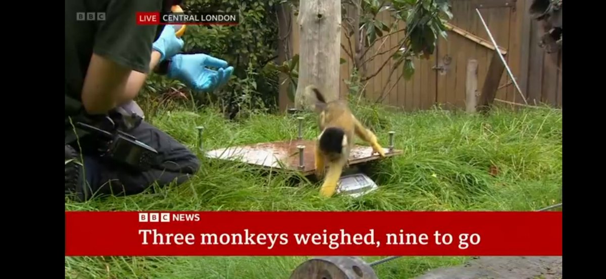 Andrew Bryson tweet media