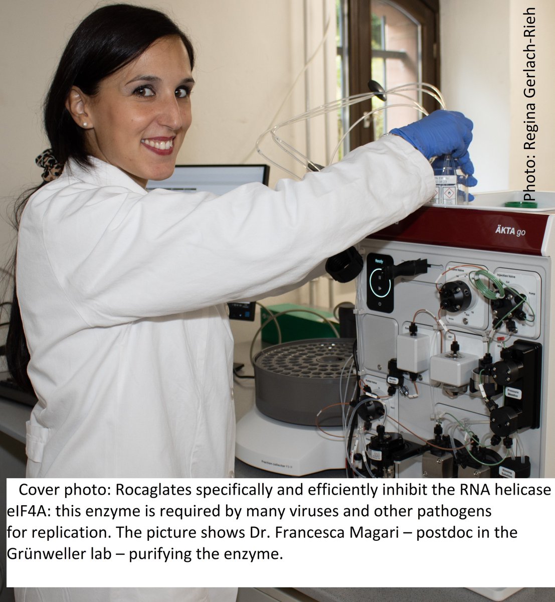 🏖️The summer issue🏄of the ProLOEWE NEWS in🇺🇸🇬🇧is online➡️Topics: @LOEWE_DRUID+their research on #plantbased compounds, new LOEWE-projects, <a href="/FCI_health/">Frankfurt Cancer Institute</a>-speaker Prof. Florian Greten in the category ProLOEWE faces+and way more. <a href="/LOEWE_TBG/">LOEWE Centre Translational Biodiversity Genomics</a>➡️Have a👀➡️proloewe.de/en/proloewe-ne… #science