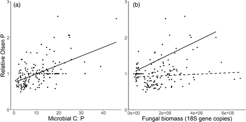 Soil Use and Management (@sumjournal) on Twitter photo ***NEW*** #OpenAccess
Soil microorganisms increase Olsen phosphorus from poorly soluble organic phosphate: A #soil incubation study
Velasco-Sánchez, Bennegadi-Laurent, Trinsoutrot-Gattin, van Groenigen & Moinet
@JWvanGroenigen <a href="/SBL_WUR/">Soil Biology Group - WUR</a> <a href="/AGHYLE1/">AGHYLE</a>
bsssjournals.onlinelibrary.wiley.com/doi/full/10.11… ***NEW*** #OpenAccess
Soil microorganisms increase Olsen phosphorus from poorly soluble organic phosphate: A #soil incubation study
Velasco-Sánchez, Bennegadi-Laurent, Trinsoutrot-Gattin, van Groenigen & Moinet
@JWvanGroenigen <a href="/SBL_WUR/">Soil Biology Group - WUR</a> <a href="/AGHYLE1/">AGHYLE</a>
bsssjournals.onlinelibrary.wiley.com/doi/full/10.11…