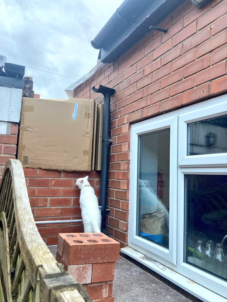 Daisy do's DIY as well you know... here she is doing electrics and bricklaying ....