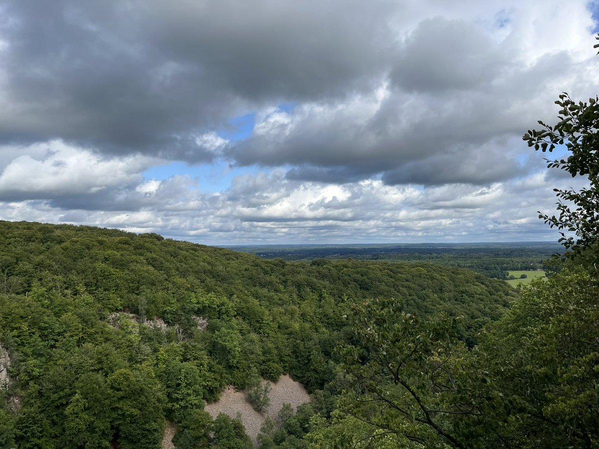 David Diez Méndez tweet media