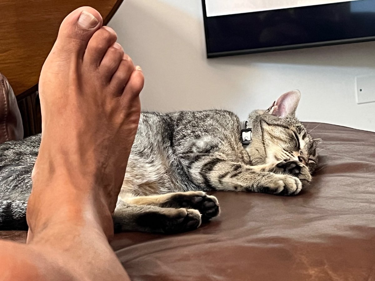 Tonino3forever's tweet photo. #partedime + #catalessi https://t.co/8MQfo8QGiy