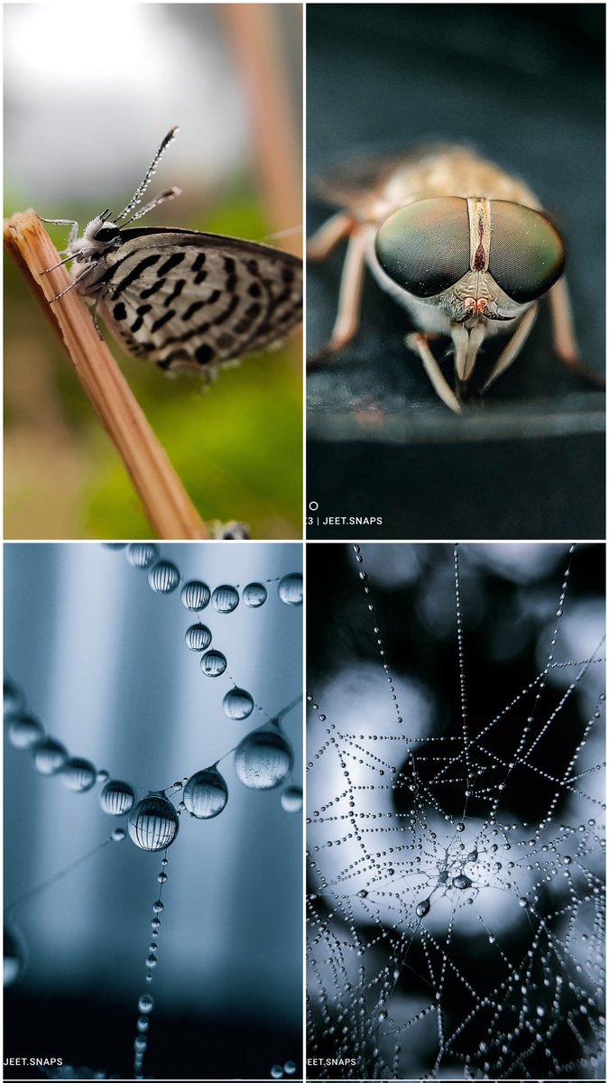 jeetsnaps's tweet photo. @POCOGlobal My photography journey with POCO has been amazing 💛
I'm glad to be a part of Photography Team member &amp; Enthusiasts group ,
Its a big achievement for me,  thank you POCO for everything 💛

Happy 5th anniversary @POCOGlobal

Here's my some unforgettable memories With POCO https://t.co/eJJfSzY5OV