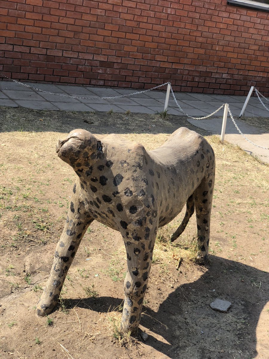 bogusbazil's tweet photo. This is my old primary which was also my polling station yesterday. 

The art? 😂 https://t.co/pfKrv0Xo05