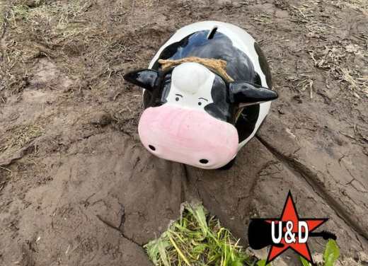 ud_stuttgart's tweet photo. Voll glücklich, halb pleite

Wir sind super glücklich, dass wir das 42. U&amp;D überhaupt veranstalten konnten. Leider war garstiges Wetter und es waren deshalb weniger Leute da, als für eine kostendeckende Finanzierung nötig gewesen wären. Detailinfos unter https://t.co/Pch78f787C https://t.co/jSywIBToso