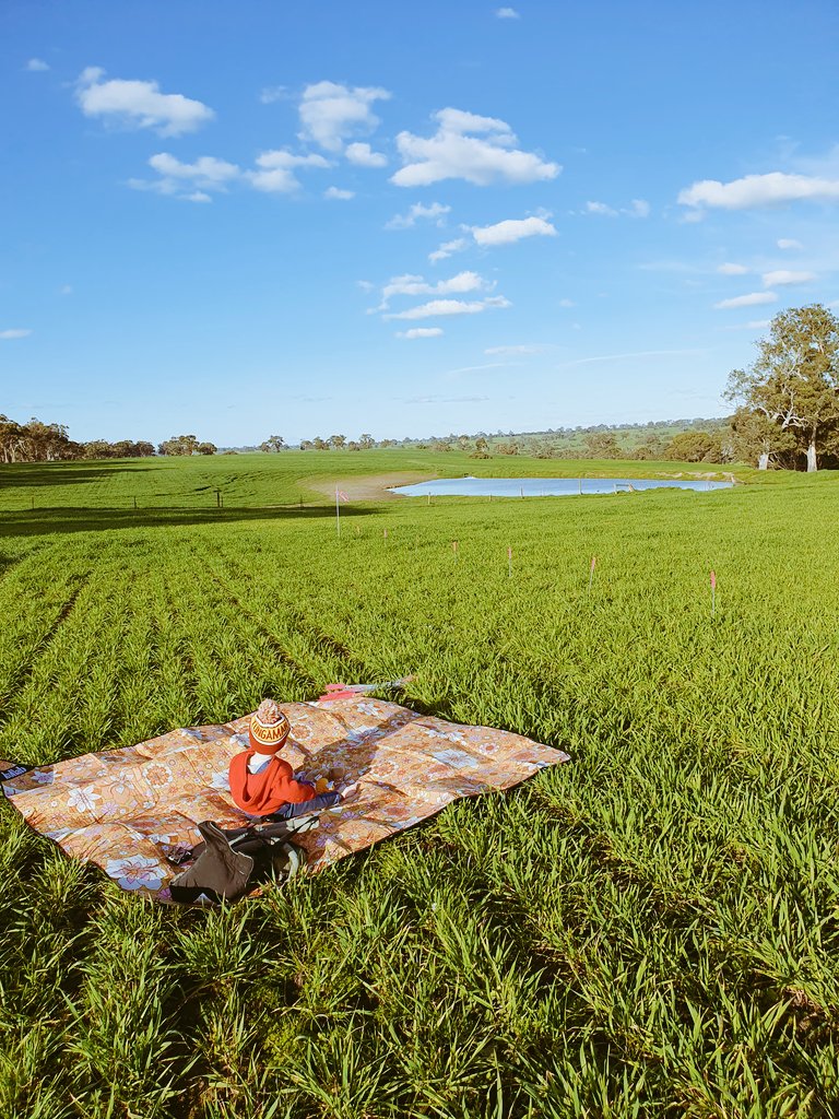 Bridget Close tweet media