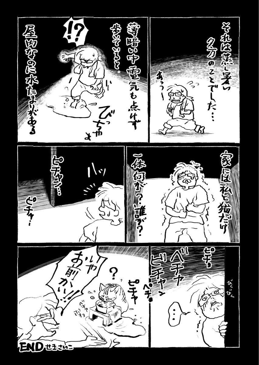 家の中に他に誰かいるのかもと思ってめちゃめちゃ怖かった。お盆だったしすわホラー展開か!?とも思った。 二枚目の猫氏は上手に飲めてる猫氏。