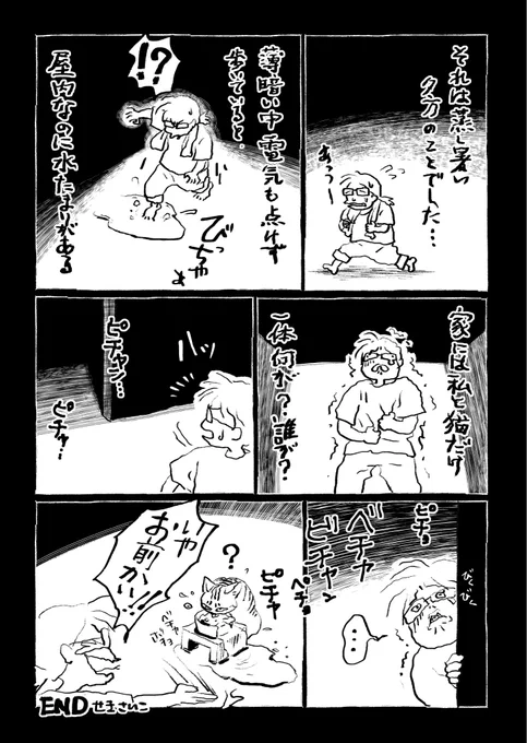家の中に他に誰かいるのかもと思ってめちゃめちゃ怖かった。お盆だったしすわホラー展開か!?とも思った。 二枚目の猫氏は上手に飲めてる猫氏。