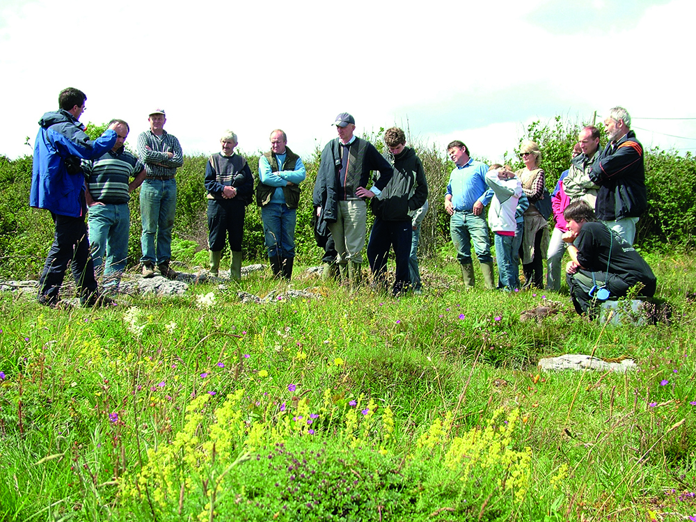 An insight into the work of the Agricultural Catchments Programme, achieving sustainable workloads on dairy farms, and the success of the BurrenLIFE project. Read about all this and more inside the Autumn 2023 issue of #TResearch. 
bit.ly/45Fb2jr