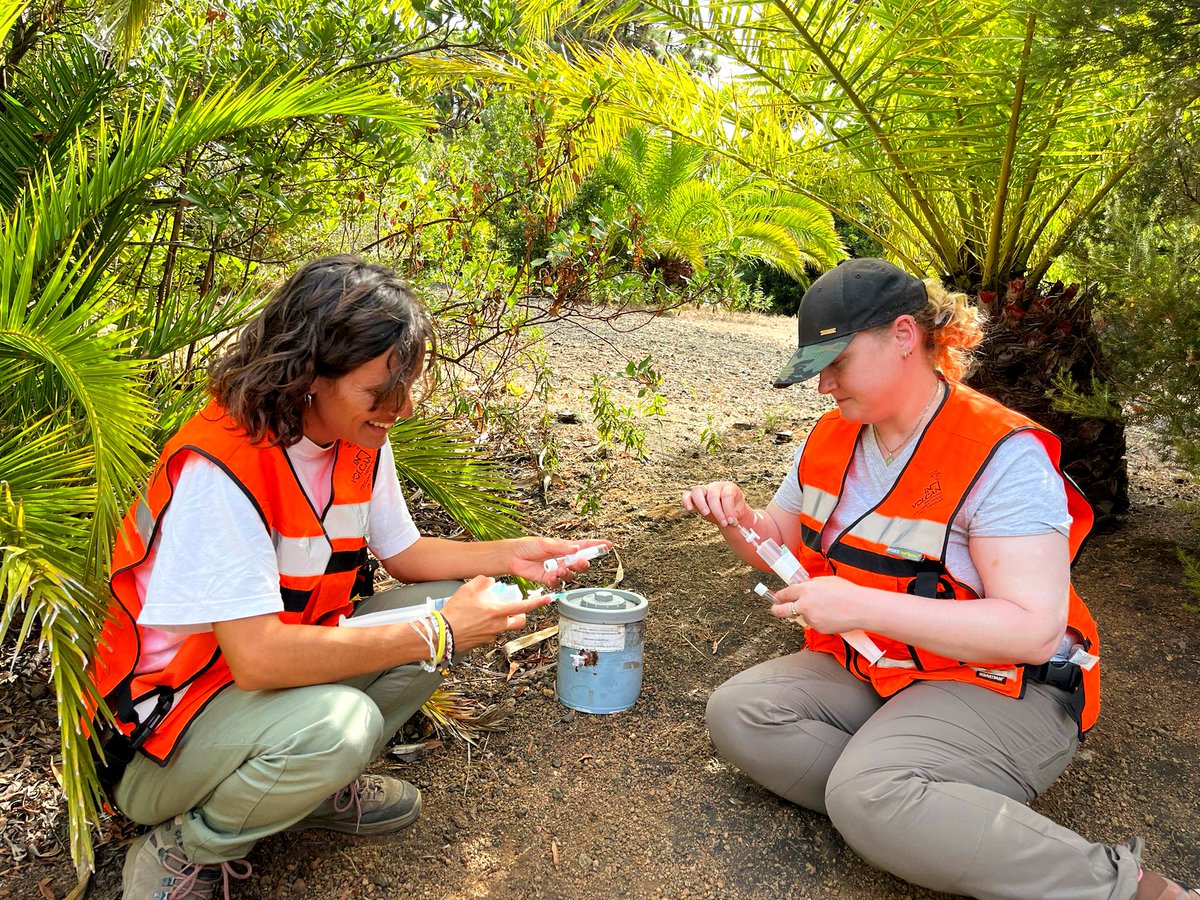 involcan's tweet photo. Ileana Santangelo (Univ. of Naples Federico II, Italy) Siobhan O'shea (Univ. Birkbeck, UK) learing how to make tramps in the #2023INVOLCANSummerScienceTrainingProgram at the Cumbre Vieja volcano geochemical monitoring
program @ITERtenerife @CabildoTenerife @CabLaPalma @PresiCan https://t.co/8RXcYrxy8B