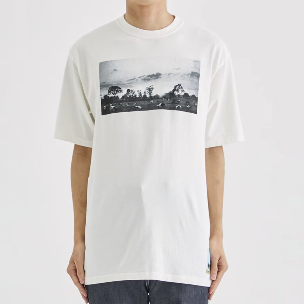 北山宏光 さん衣装】  📺8/24 #プレバト/ «この後登場!!» 北山宏光