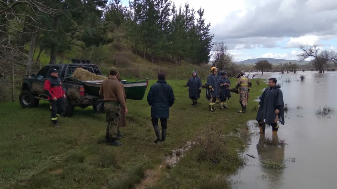 Carab_Maule's tweet photo. Hasta los lugares más lejanos, Carabineros ayudando. En #HuertaDeMaule en la comuna de #SANJAVIER llevaron alimento a 4 caballos🐎 que estaban en los alrededores del Río #Purapel, quienes permanecían aislados. Se trasladaron en botes con la colaboración de bomberos y vecinos💚. https://t.co/QIyHhuK9Tj