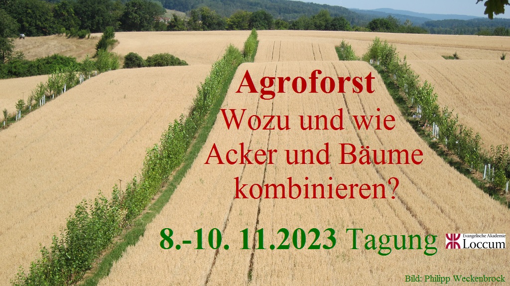 #Agroforstsysteme. Es geht um Kenntnisse, Erfahrungen, Umsetzungs- u Fördermaßnahmen 

gefördet v. <a href="/bmel/">BMEL</a> 
dabei: <a href="/Agroforst_DeFAF/">Deutscher Fachverband für Agroforstwirtschaft</a> <a href="/ErnstKursten/">Ernst Kürsten</a> <a href="/ThomasDomin3/">Thomas Domin</a> <a href="/MLUKBrandenburg/">MLUK Brandenburg</a> 

Programm/Anmeldung: lnkd.in/eqNKBb4k

<a href="/agroforst/">agropark</a>  @BfN <a href="/querFELDeinblog/">querFELDein</a> @BLZ_aktuell @TanjaBusse