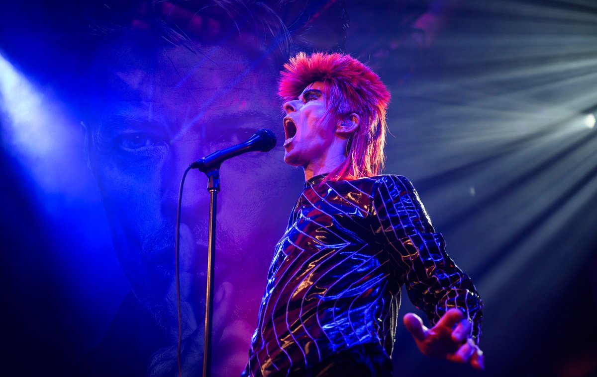 Absolute Bowie tweet media
