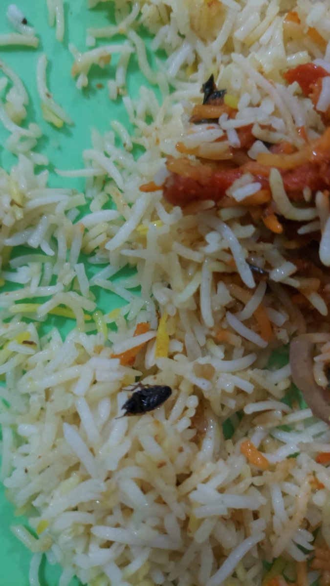arenferri's tweet photo. @zomatocare Even after sending the pics ,there is no action other than a 70 rs refund from the chat. Please dont force me to  exploring legal options.Give me a proper refund.attached pic for your reference https://t.co/a2mBT7I8QH