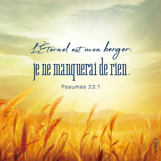 jeviensbientot's tweet photo. https://t.co/juxJAw7lrI