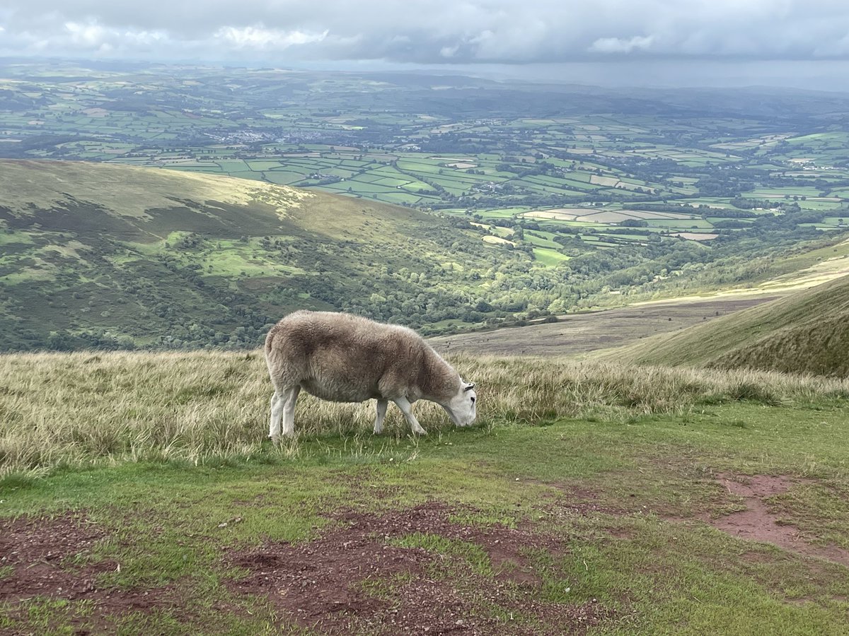 Penultimate leg  of the Bristol to Brecon trail which included Fan y  Big and Pen y Fan. Wonderful maintained paths. Still recovering so respect to hill walkers! Spectacular views so worth it