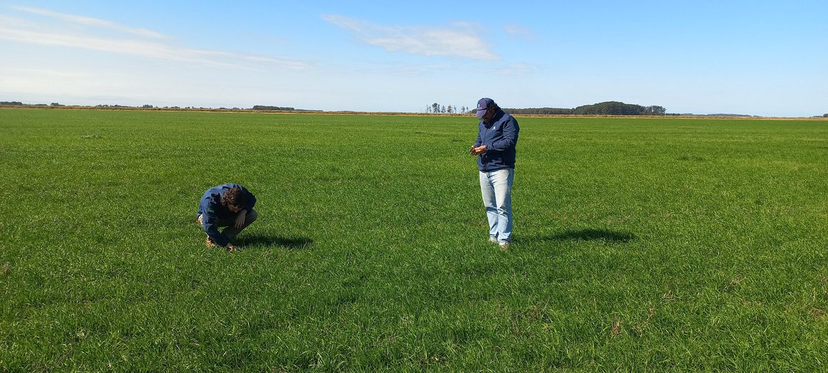 Germinar tweet media